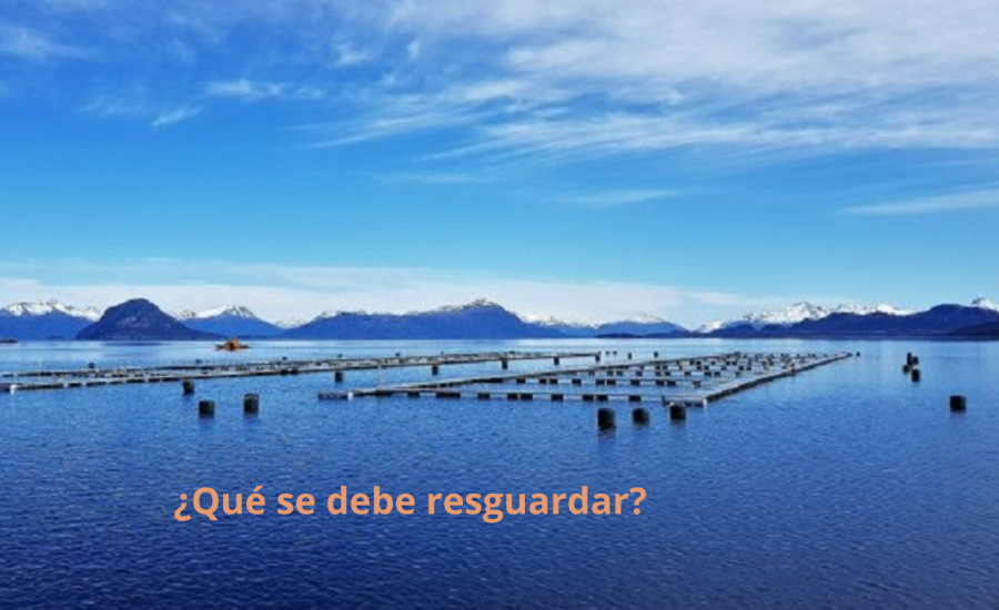 Fuente: Ovejero Noticias
